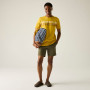 Herren-T-Shirt Regatta Rendro