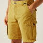 Herrenshorts Regatta Shorebay Shorts II