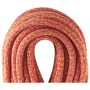 Kletterseil Edelrid Boa Gym 9,8 mm 50 m