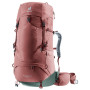 Rucksack Deuter Aircontact Lite 45 + 10 SL weinfarbe caspia-ivy