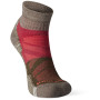 Damensocken Smartwool W Performance Hike Light Cushion Color Block Pattern Ankle