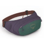 Hüfttasche Osprey Daylite Waist grün/rot axo green/enchantment purple
