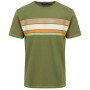 Herren-T-Shirt Regatta Rayonner grün Olive Branch
