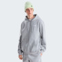 Herren-Sweatshirt The North Face M Evolution Simple Dome Regular Hoodie