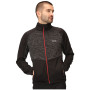 Herren-Sweatshirt Regatta Coladane V
