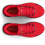 Herren Laufschuhe Under Armour HOVR Infinite 4