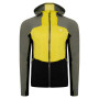 Herren-Sweatshirt Dare 2b Revive II CoreStr gelb/grün AgveGrn/Neon
