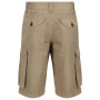 Herrenshorts Regatta Shorebay Short
