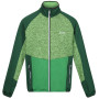 Herren-Sweatshirt Regatta Coladane V grün Jasmine Green/Field Green