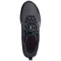 Herrenschuhe Adidas Terrex Anylander Mid R.RDY