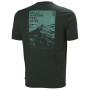 Herren-T-Shirt Helly Hansen Skog Graphic T-Shirt