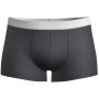 Herren-Boxershorts Icebreaker M Anatomica Cool-Lite Trunks grau Monsoon Hthr