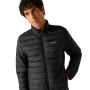 Herren-Steppjacke Regatta Marizion