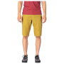 Herrenshorts Rafiki Matto LT