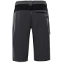 Herrenshorts Alpine Pro Cuom (2020)