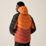 Herrenjacke Regatta Hooded Dalent