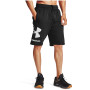 Herrenshorts Under Armour Rival FLC Big Logo Shorts