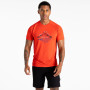 Herren-T-Shirt Dare 2b Tech II Tee