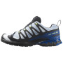 Herren Laufschuhe Salomon Xa Pro 3D V9 GTX Icon