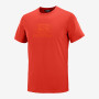 Herren-T-Shirt Salomon Blend Logo Ss Tee M rot