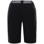 Herrenshorts Alpine Pro Zamb