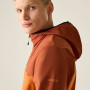 Herrenjacke Dare 2b Endurance Softshell