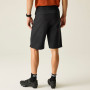 Herrenshorts Dare 2b Descent Short