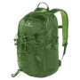 Rucksack Ferrino Rocker 25 grün green