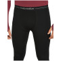 Herren-Funktionsunterhosen Icebreaker Men 300 MerinoFine™ Polar Leggings