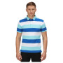 Herren-T-Shirt Regatta Maxen