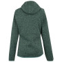 Damen-Sweatshirt Regatta Women’s Hooded Newhill