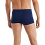 Herren-Boxershorts Icebreaker M Anatomica Cool-Lite Trunks