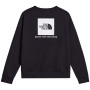 Herren-Sweatshirt The North Face M Evolution Box Nse Regular Crew