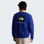 Herren-Sweatshirt The North Face M Evolution Box Nse Regular Crew