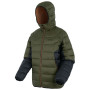 Herrenjacke Regatta Hooded Dalent
