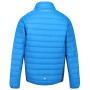 Herrenjacke Regatta Halton IV