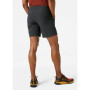 Herrenshorts Helly Hansen Friluft Shorts