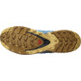 Herren Laufschuhe Salomon Xa Pro 3D V8