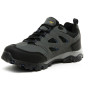 Herrenschuhe Regatta Holcombe IEP Low