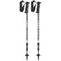 Trekkingstöcke Leki Eagle silber CoolgreyWhite