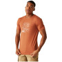 Herren-T-Shirt Regatta Cline VIII