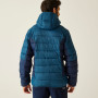 Herrenjacke Regatta Hooded Dalent