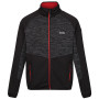 Herren-Sweatshirt Regatta Coladane V schwarz Black (Danger Red)