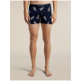 Herren funktionelle Boxershorts Icebreaker Men M 150 Anatomica Boxers BearTourAOP