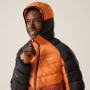 Herrenjacke Regatta Hooded Dalent