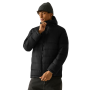 Herren-Steppjacke Regatta Frankie Padded