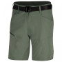 Herrenshorts Husky Kimbi M (2020) grün sv.šedozelená
