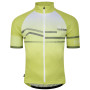 Herren Radtrikot Dare 2b AEPRevolvingSSJry gelb GreenAlgaWve