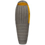 Daunenschlafsack Sea to Summit Spark SPII Regular