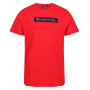 Herren-T-Shirt Regatta Cline VI rot True Red